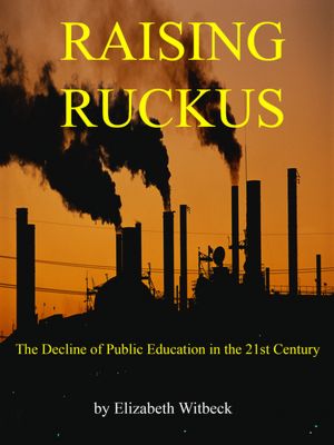 Raising Ruckus: The Decline of Public Education in the 21st Century [NOOK Book]