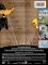 Looney Tunes Golden Collection - Vol. 4