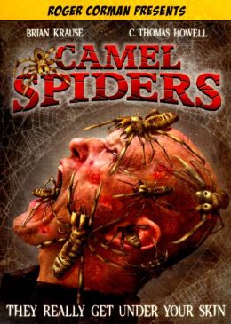 Camel Spiders
