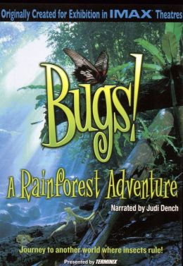 Bugs!