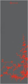 Zen Garden Yoga Mat
