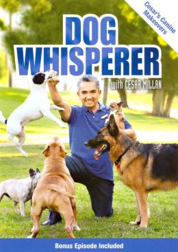 Dog Whisperer with Cesar Millan: Canine Makeovers