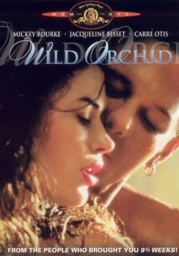 Wild Orchid