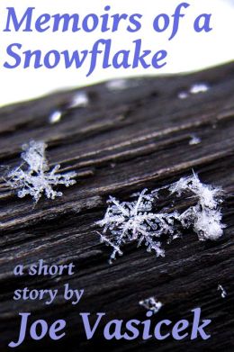 Memoirs of a Snowflake