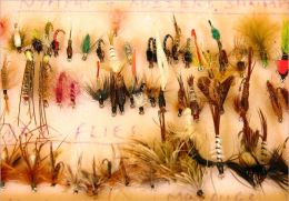 Master Fly Fishing in Matter of Days: Expert Tips for Beginner Fly Fishers