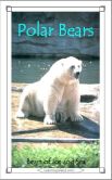 Book Cover Image. Title: Polar Bears:  Bears of Ice and Sea, Author: Caitlind Alexander