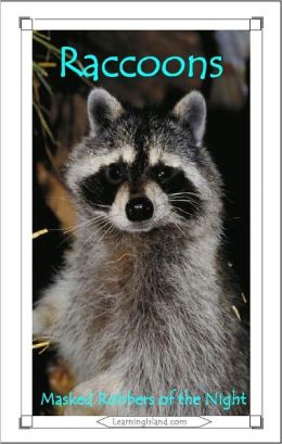 Raccoons: Masked Robbers of the Night