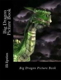 Big Dragon Picture Book