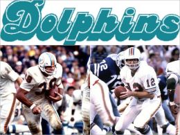 Miami Dolphins 1979: A Game-by-Game Guide John Schaefer