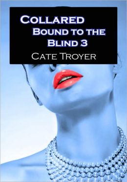 The Party (Bound to the Blind) (Billionaire BDSM) Cate Troyer