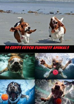 99 Cents Fetch Funniest Animals