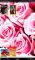 Abbeys Flowers Wallpaper