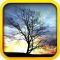 Amazing Sunset Live Wallpaper