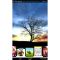 Amazing Sunset Live Wallpaper