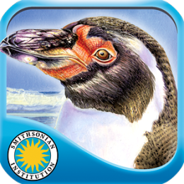 Penguin's Family - Smithsonian Oceanic Collection