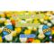 QuizOn: Easter