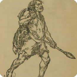 Primal Feed