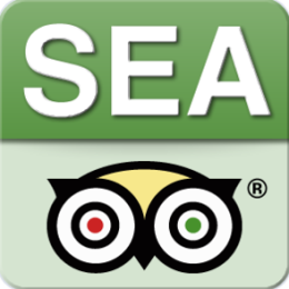 Seattle City Guide