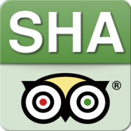 Shanghai City Guide