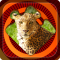 Magic Puzzles: Wild Nature