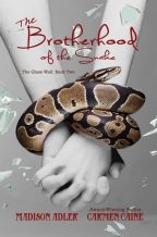 Cover Image: The Brotherhood of the...