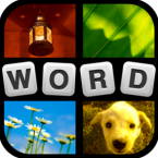 Cover Image: 4 Pics 1 Word Puzzle
