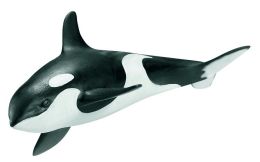 Killer Whale 5.5 inches