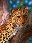 Product Image. Title: Leopard in a Tree - 500 piece puzzle