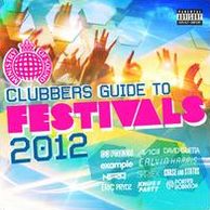 Ministry Of Sound: Clubber's Guide To Festivals