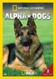 Video/DVD. Title: Alpha Dogs