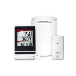 Rain Gauge w/Thermometer