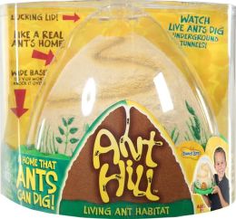 Ant Hill