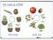 Giant Magnetic Plant Life Cycle