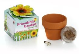 Mini Garden- Sunflowers Kit