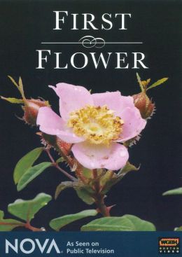 NOVA: First Flower