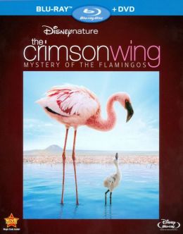 Disneynature: The Crimson Wing - Mystery of the Flamingos