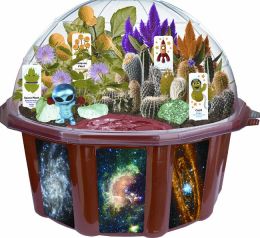 Outer Space Adventure Dome Terrariums
