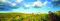 Bv Vineyard With Mustard -Thompson Panoramic 1,000 Pc