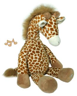 Gentle Giraffe