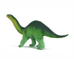 Carn Apatosaurus Baby