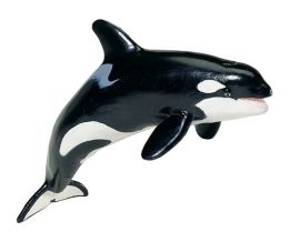 Mb Killer Whale
