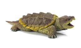Ic Alligator Snapping Turtle