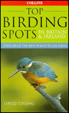 Top Birding Spots: In Britain & Ireland
