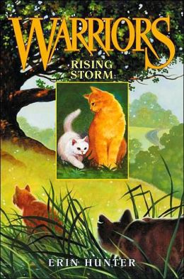 storm rising warriors erin hunter series warrior books cat cover fireheart reading cats covers cloudkit read complete