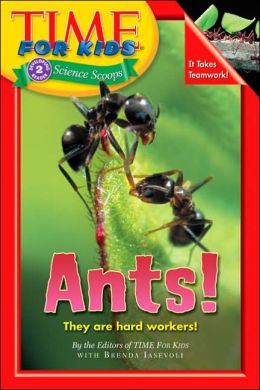Ants! (Time for Kids Series)