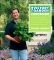 Victory Garden Companion
