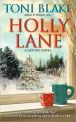 Book Cover Image. Title: Holly Lane (Destiny, Ohio Series #4), Author: Toni Blake