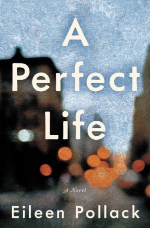 A Perfect Life: A Novel