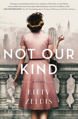 Book Not Our Kind: A Novel