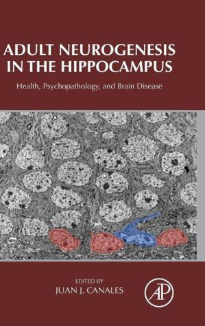 Adult Neurogenesis in the Hippocampus: Health, Psychopathology, and Brain Disease